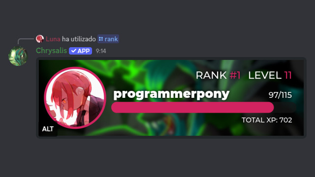 Rank card showing programmerpony's rank, level and XP.
